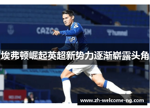 埃弗顿崛起英超新势力逐渐崭露头角